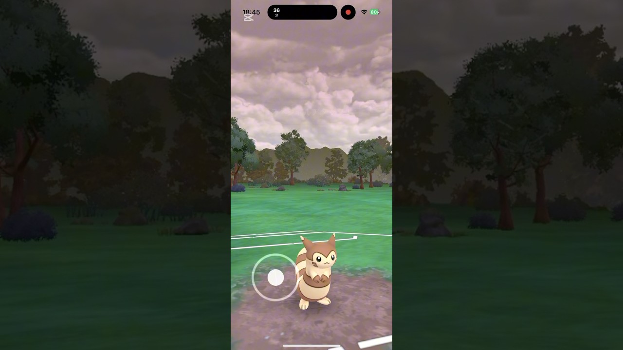 ついにスーパーリーグ個体のオオタチ育成完了！こうげき・ぼうぎょのバランス良くておすすめ #ポケモンgo #goバトルリーグ #オオタチ