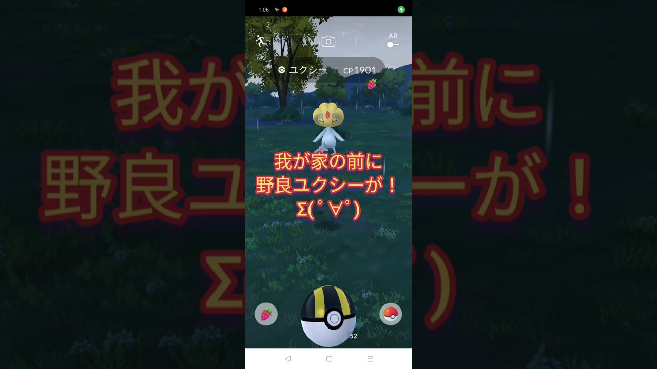 自宅前から野良のユクシーが飛び出してきた！【ポケモンGO】