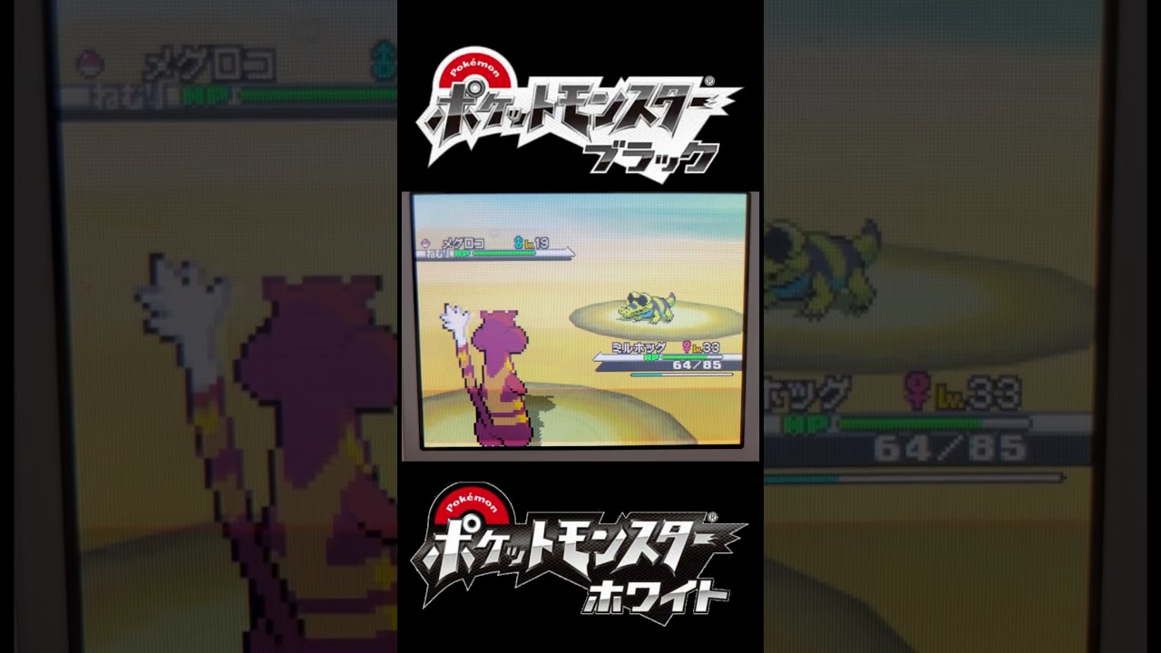 【ポケモンBW】リゾートデザートで色違いメグロコ #ポケモン #shorts