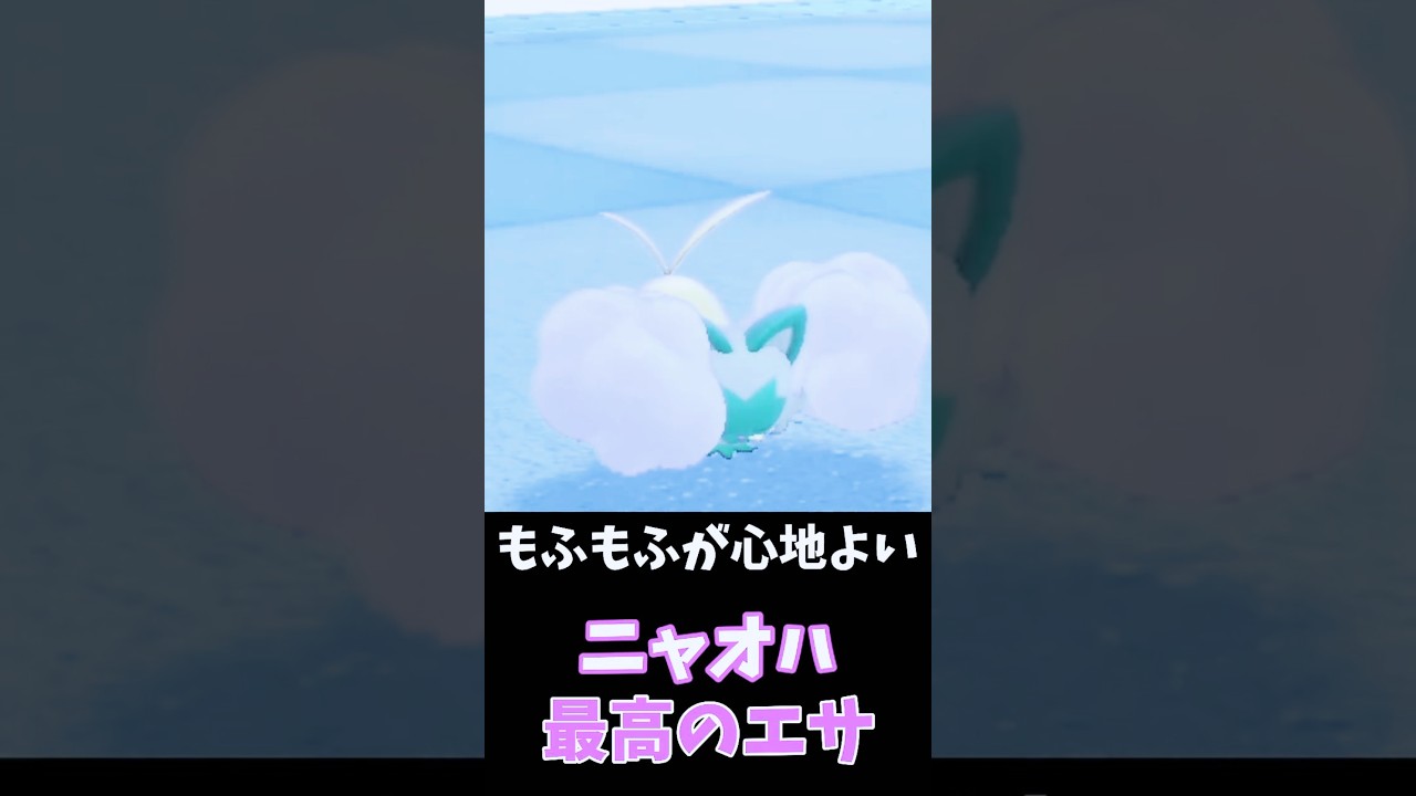 ニャオハ、狩りのつもりがモフモフ生活🐱💕🐦【ポケモンSV】　#shorts