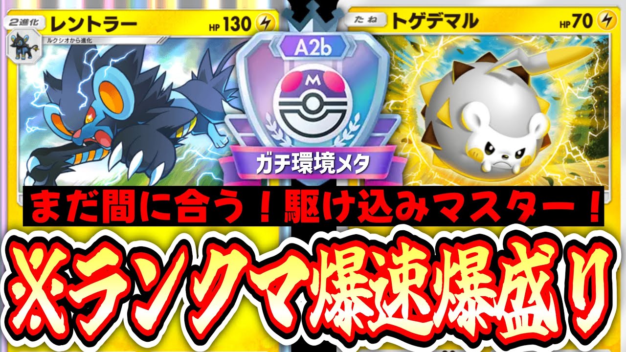 【緊急】※マスターまだ間に合う！環境完全メタの〝トゲデマル×レントラー〟ならね。【ポケポケ】【デッキ紹介】Pokémon Trading Card Game Pocket