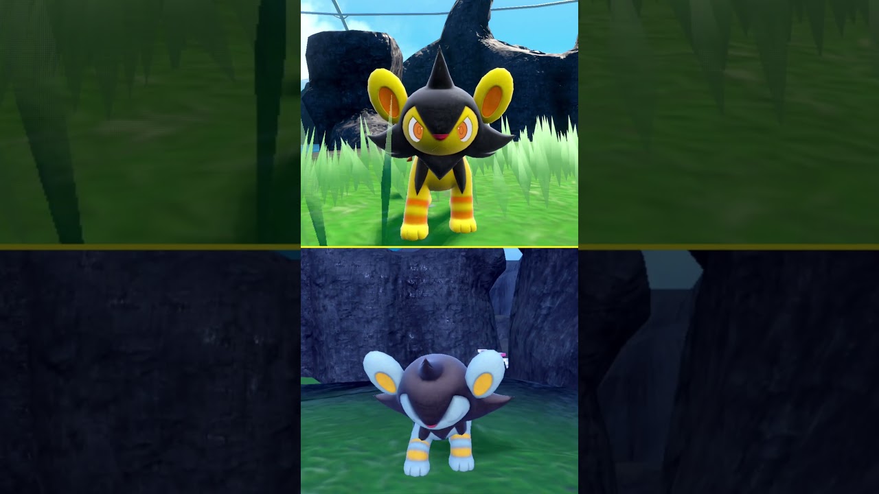 #ルクシオ  #ポケモン  #luxio  #pokemonscarletandviolet