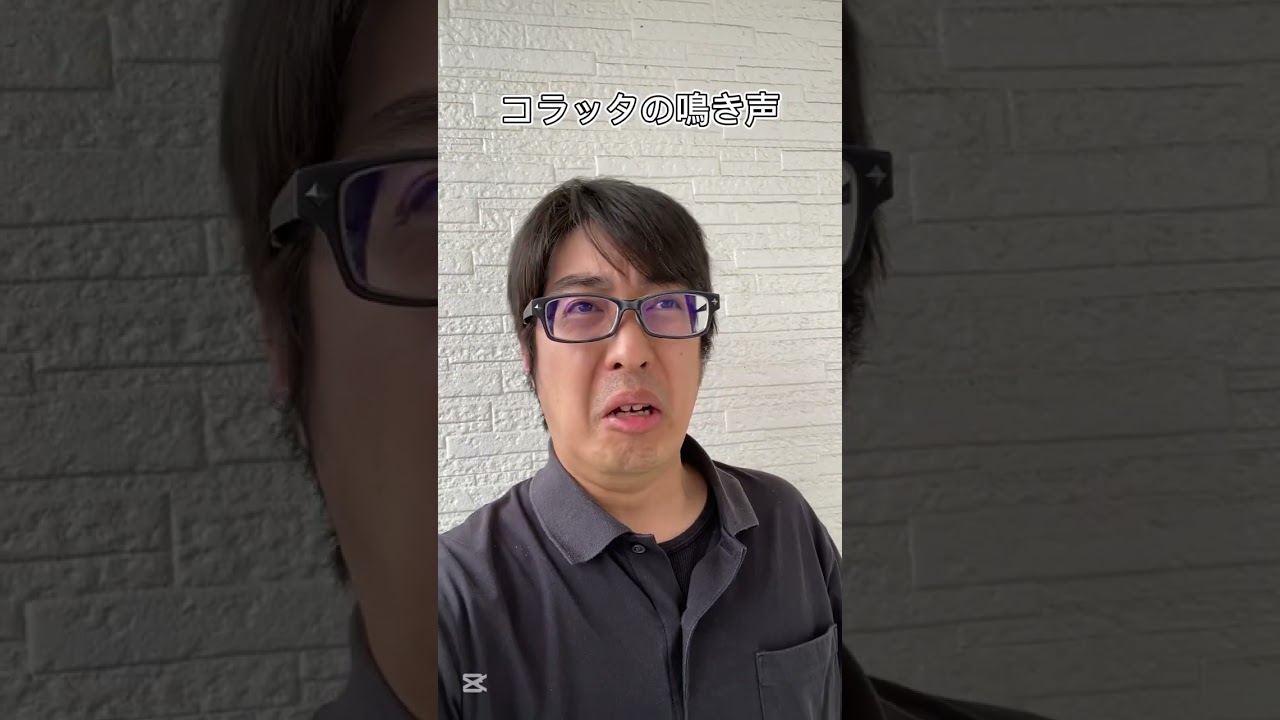 ポケモン空想モノマネ コラッタの泣き #pokemon #おれポケ #pokemoncards #ポケカ #ポケポケ