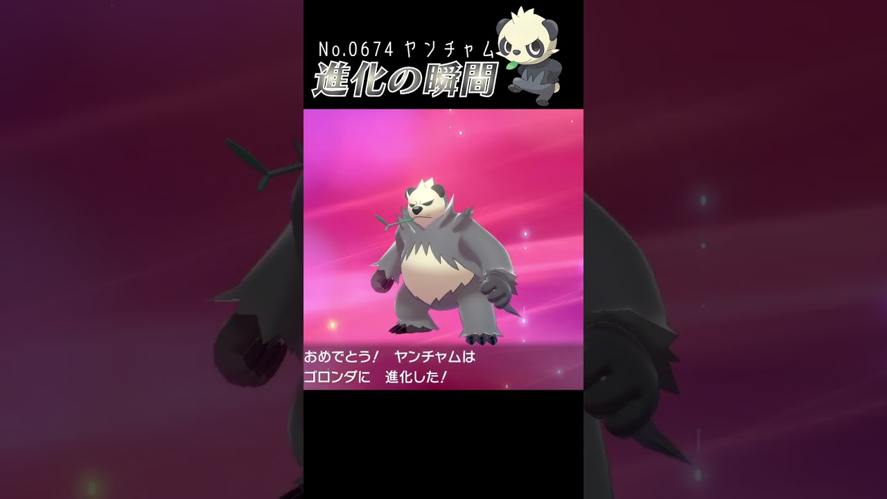 【ポケモン剣盾】ヤンチャム 進化の瞬間 #shorts