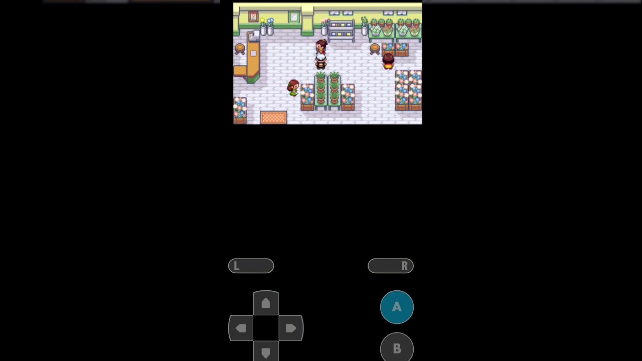 Pokémon Zafiro como se consigue el Cubo Wailmer