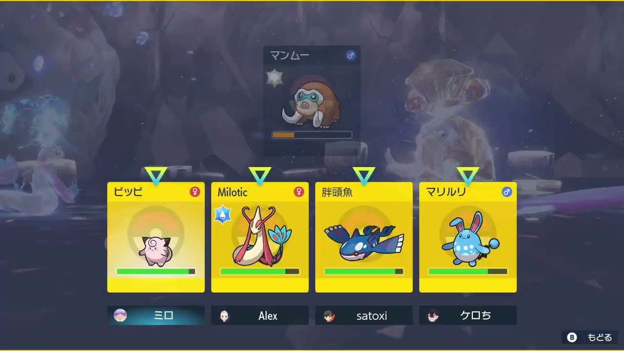 普通に強いピッピ！汎用サポート型【ポケモンSV/テラレイド】