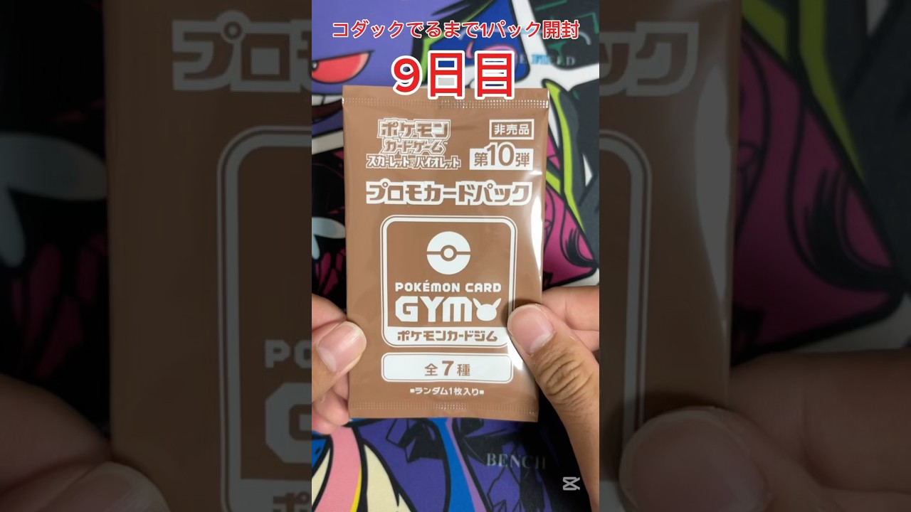 【ポケモンカード】 ジムプロモでコダックが出るまで1パック開封 8日目 #ポケモンカード #ポケカ #コダック #毎日開封 #ポケモンカード毎日開封 #ポケカ開封 #プロモパック