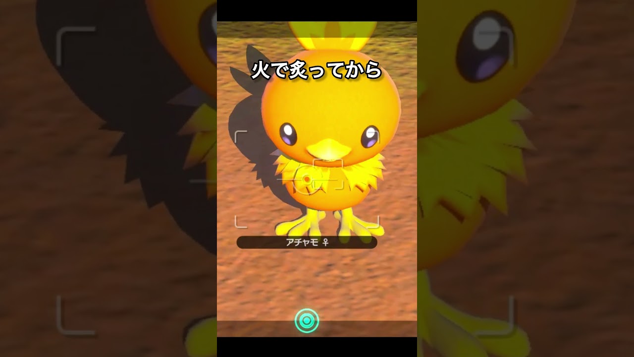 アチャモvsサイコなヒトカゲ　#ポケモンスナップ  #ポケモン