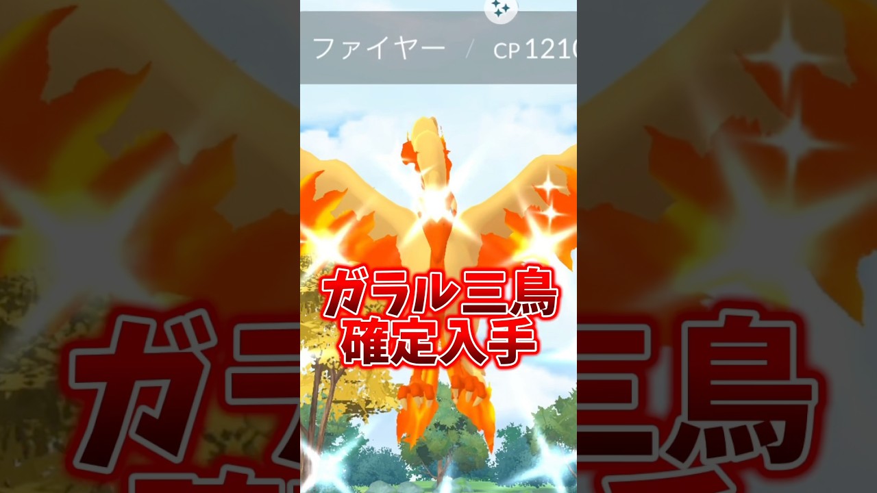 【注意】⚠️落とし穴が⚠️GOFest2025直前！ガラル三鳥確定入手！激アツレジの背景もあるぞ！でもあまり期待はしないほうが。。【ポケモンGO】 #ポケモンGO #ガラル三鳥　#GOFest2025