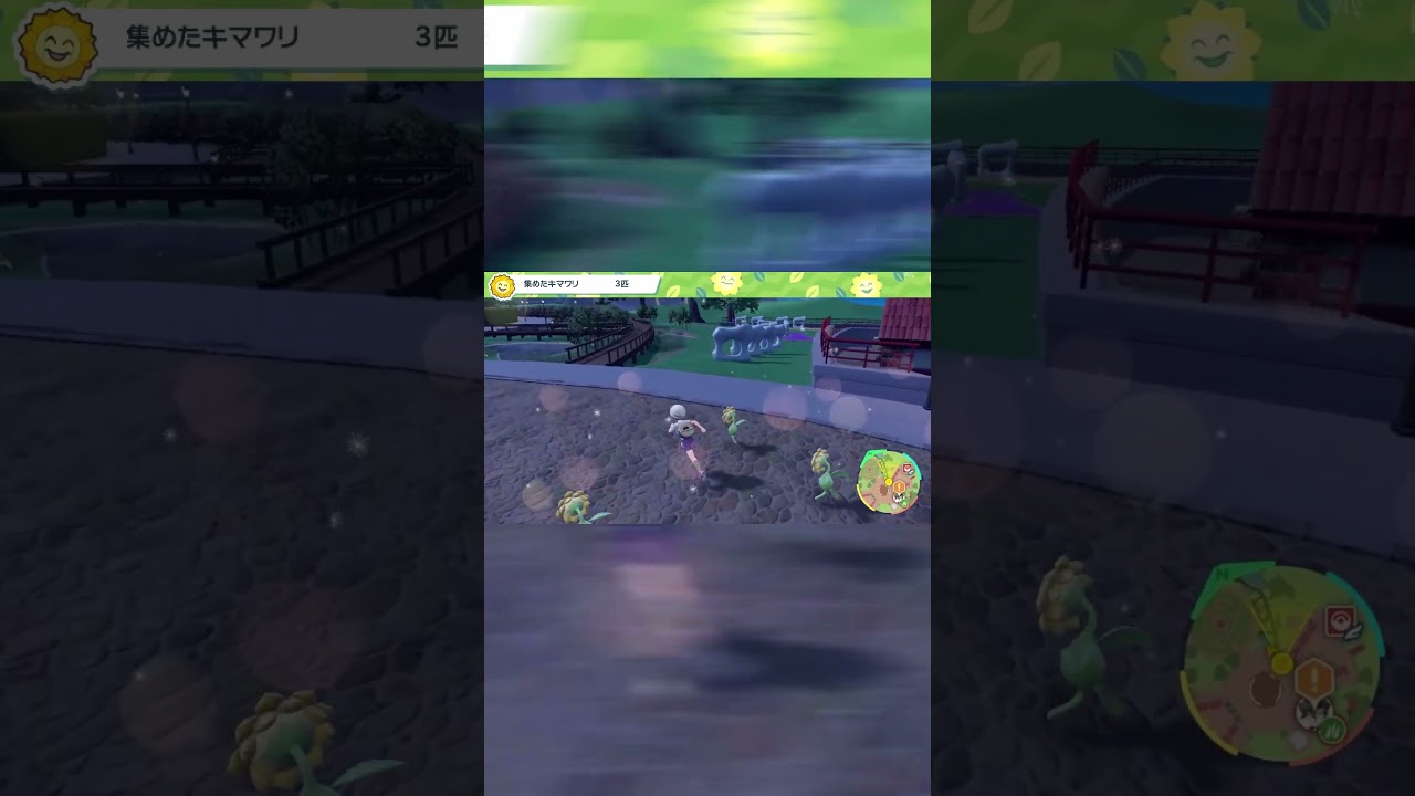 何かを極めたキマワリ【SV】【ポケモン】 #ポケモン #ポケモンsv #ゲーム実況