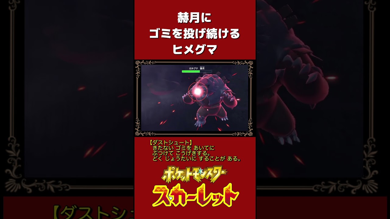 【ポケモンSV】絶対ガチグマになりたくないヒメグマのわるあがき #アカツキ #shorts