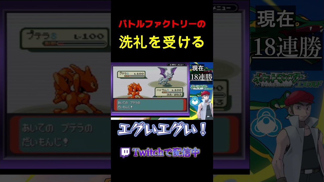 初見◯しの両刀プテラ #バトルファクトリー #ポケモンエメラルド