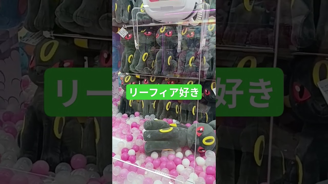 ブラッキー　#クレーンゲーム #クレーンゲームコツ #クレーンゲーム攻略 #pokémon