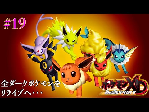 #19【ポケモンXD闇の旋風ダークルギア】リライブに本腰を入れていく