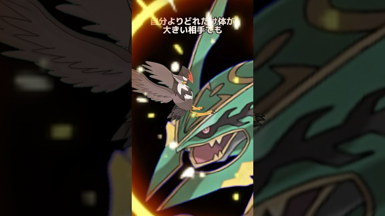 ポケモンの雑学3選Part284 #なぞはな #ポケモン #ポケモンカード #ポケモンオリジナルアニメ #ポケモンゲーム実況 #shorts #ムクホーク #チゴラス #レパルダス