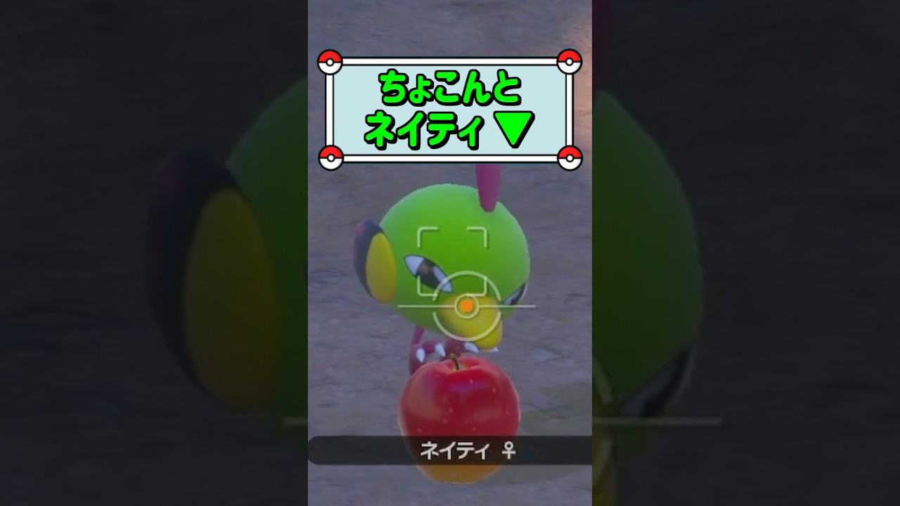 「ちょこんとネイティ ▼」　#ポケモン　#ポケモンスナップ　#ポケスナ　#shorts