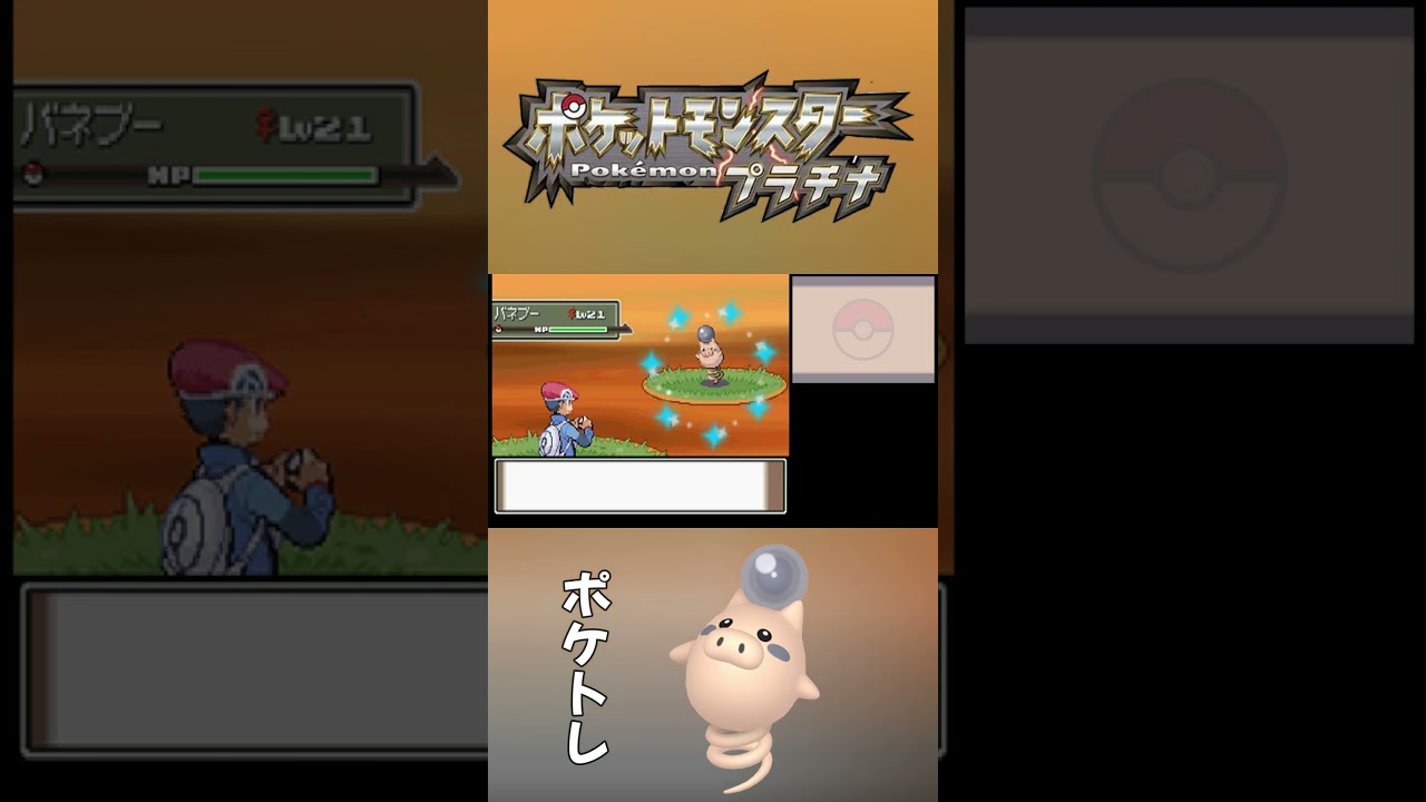 【ポケモンプラチナ】色違いバネブーを乱獲した日　#shorts  #色違い  ＃ポケモン