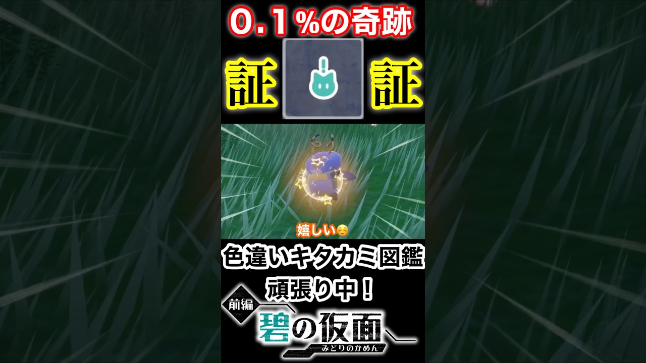 【激レア】初めて見た証！#shorts #short #みたことのないあかし#pokemon #ポケモンsv #色違い#バルビート#キタカミの里