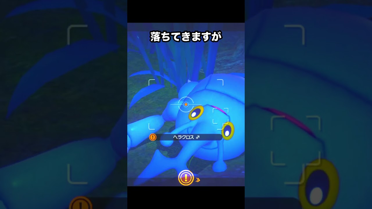 ヘラクロス　#ポケモンスナップ #ポケモン