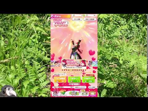 初見実況 ウマ娘プリティーダービー第11回　トレーナーさんトレーナーさんになる