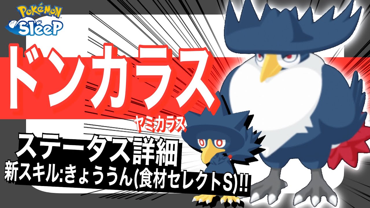 このスキル、かけらも強い…!? ヤミカラス/ドンカラスのステータス速報【ポケモンスリープ】【きょううん(食材セレクトS)】