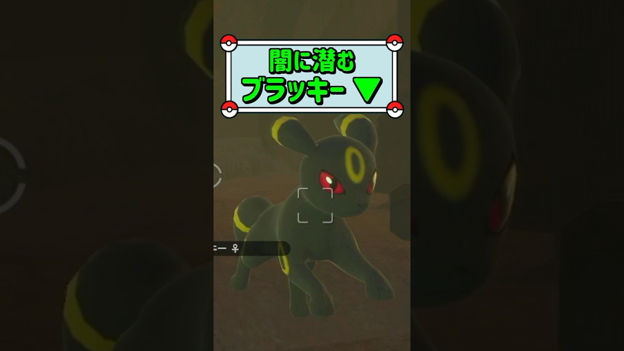 「闇に潜むブラッキー ▼」　#ポケモン　#ポケモンスナップ　#ポケスナ　#shorts
