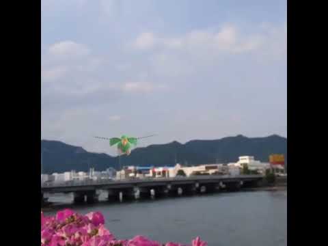 트로피우스 ( Tropius ) トロピウス ( 熱帶龍 )