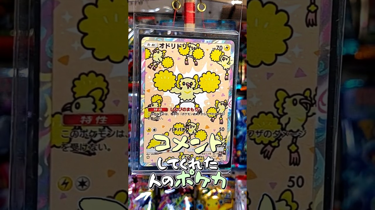 〇〇してくれた人のポケカ #イワンコ #ホワイトフレア #ブラックボルト #ポケポケ #ポケカ