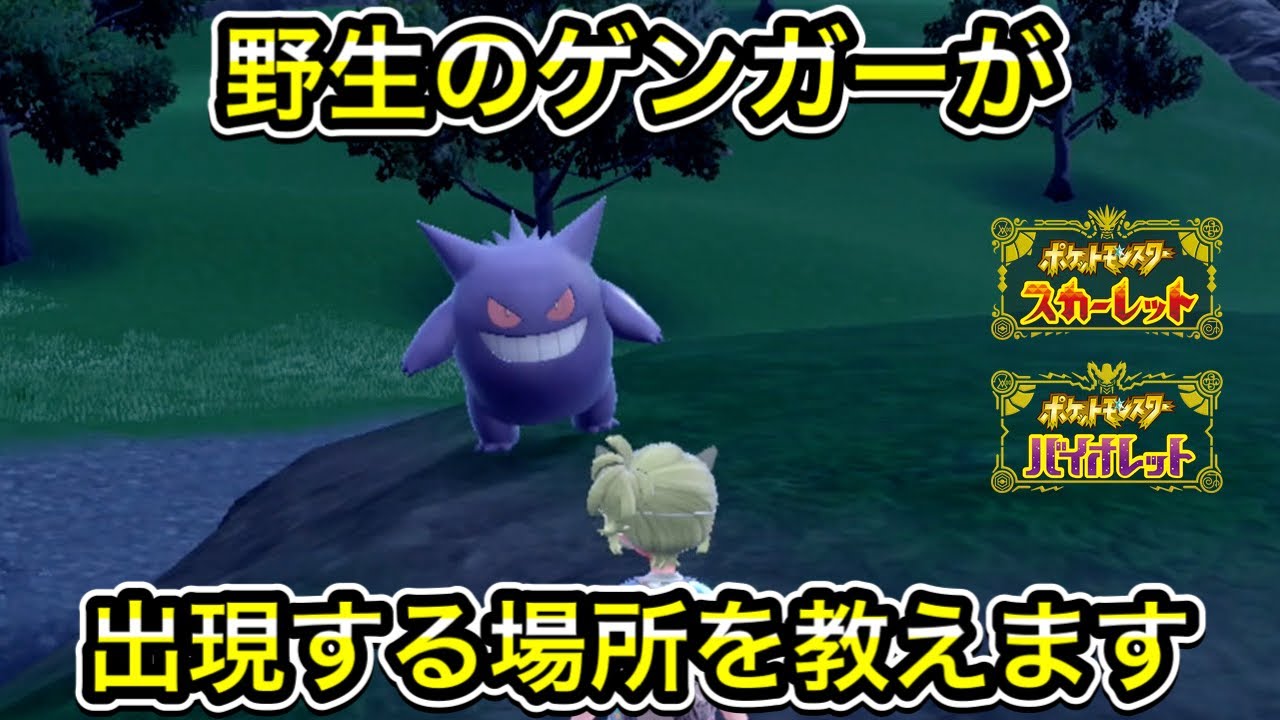 【ポケモンSV】野生のゲンガーの出現場所を教えます！
