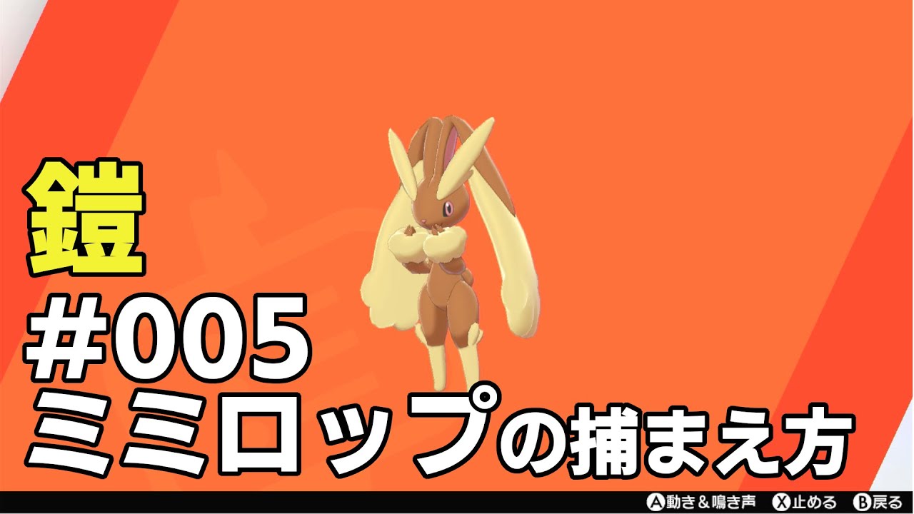 ミミロップを探している方に見てほしい動画