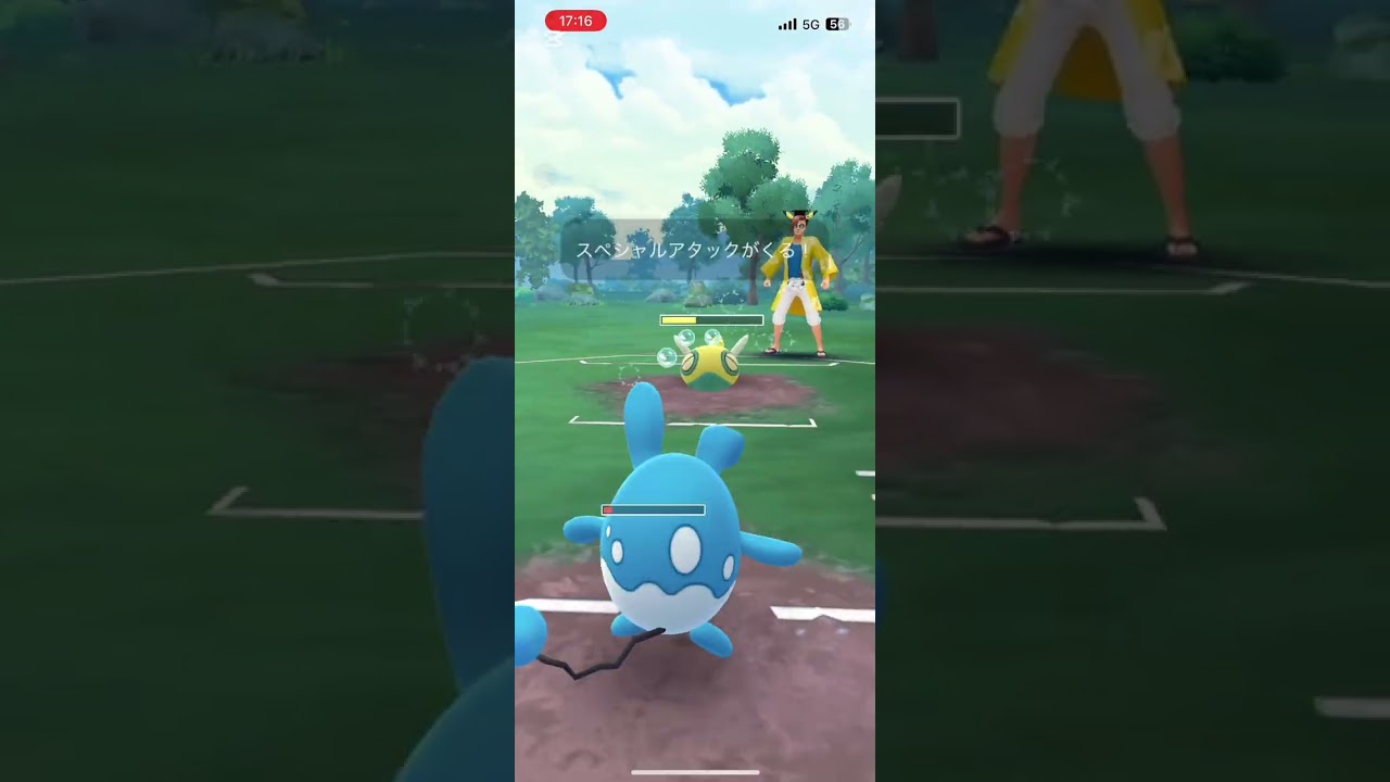 自分のマリルリはドロポン型！