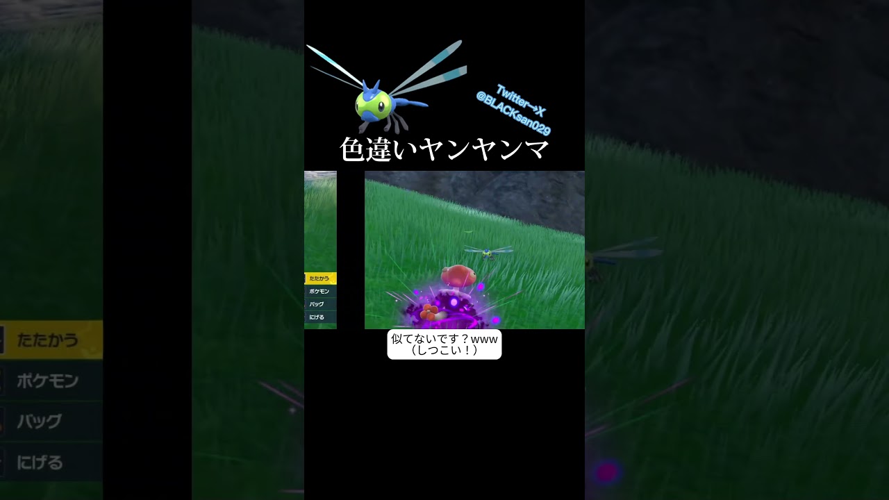 【ポケモンSV】ゴットトンボ？？w #ポケモンSV #ポケモンsv #ポケットモンスター #色違い #色違い厳選 #ヤンヤンマ #メガヤンマ #特撮 #碧の仮面 #トンボオージャー #shorts