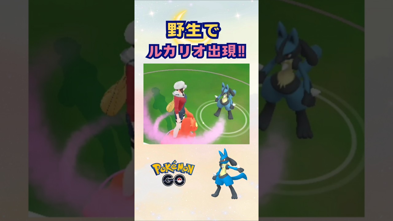 野生でルカリオ出現‼【ポケモンGO】