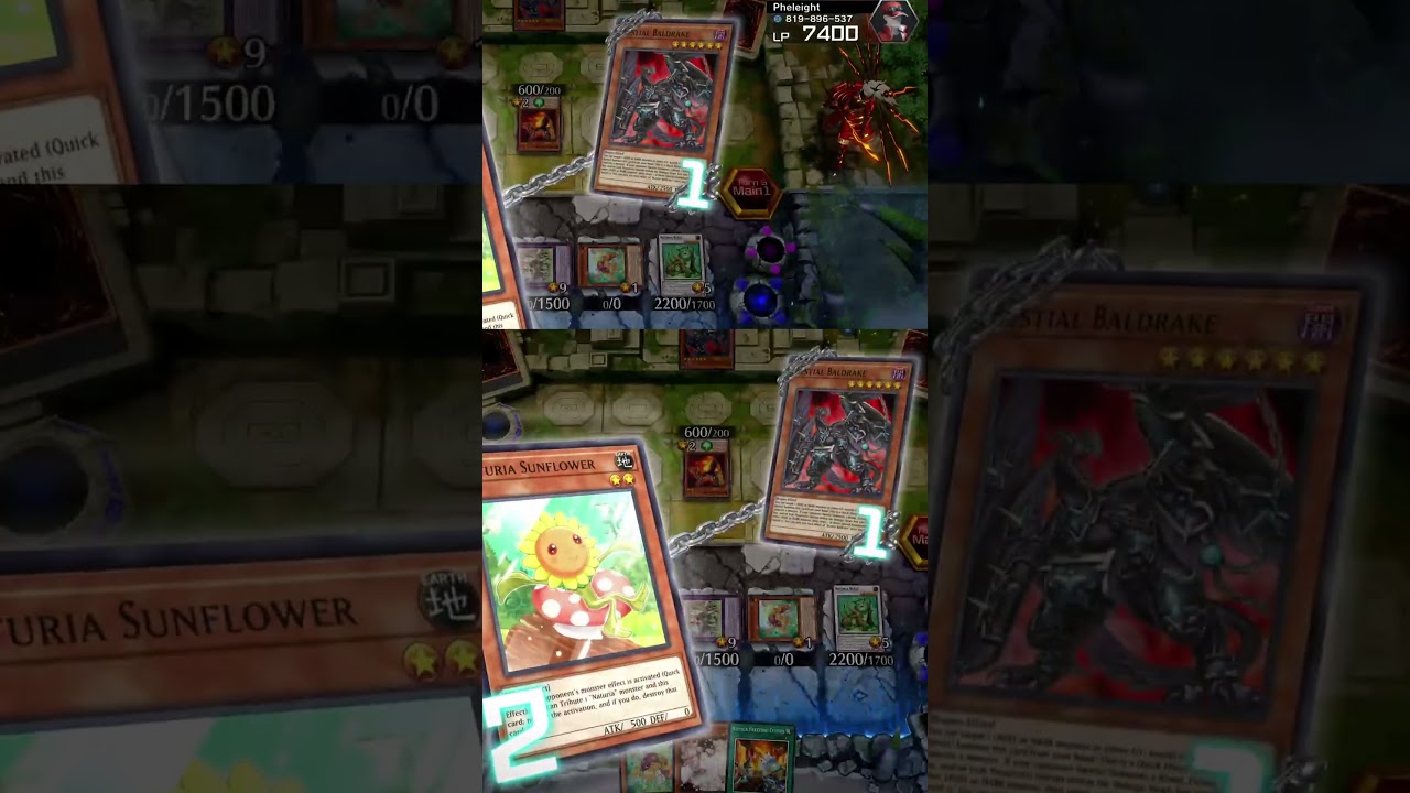 RDA PLAYER LEARNS NATURIA SUNFLOWER IS NOT ONCE PER CHAIN | #ygosliferslacker on #Twitch RUNICK NATU