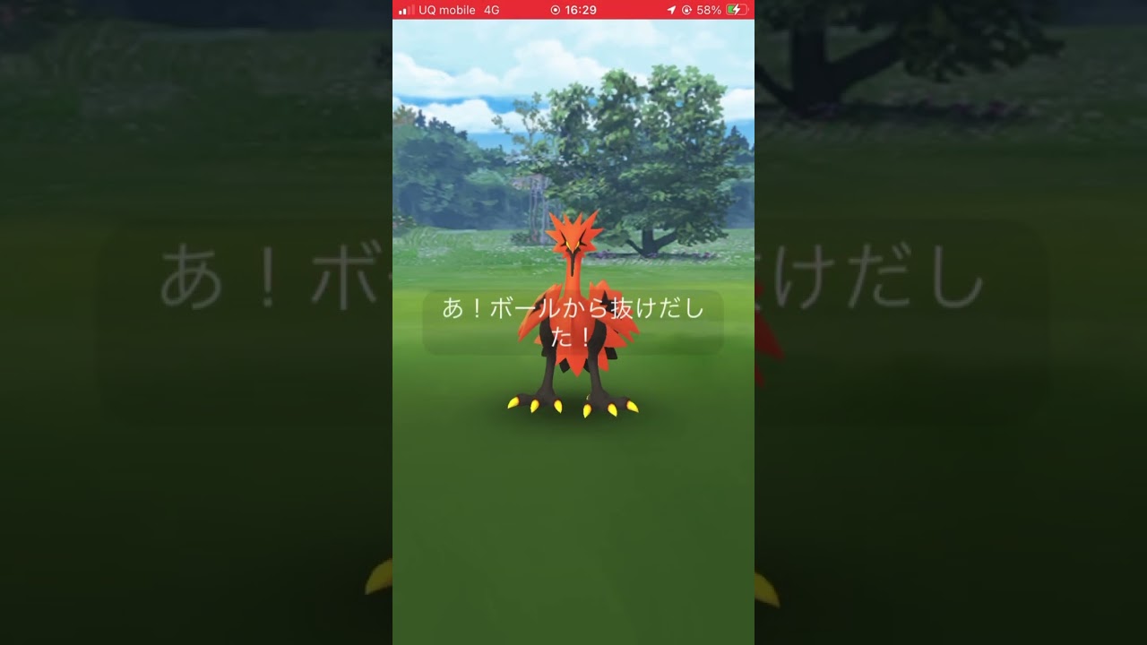 ポケモンGOで野生のガラルサンダー⁉︎#ポケモンgo