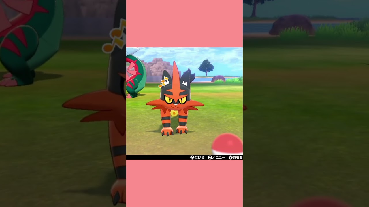 ニャヒート🌟ポケットモンスター ソード·シールド🌟