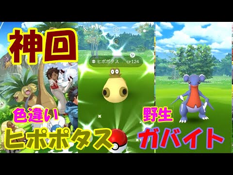 【ポケモンＧＯ】神回！色違いヒポポタス＆野生ガバイトゲット！！【無課金】Different colors Hippopotas & wild gabite get！！