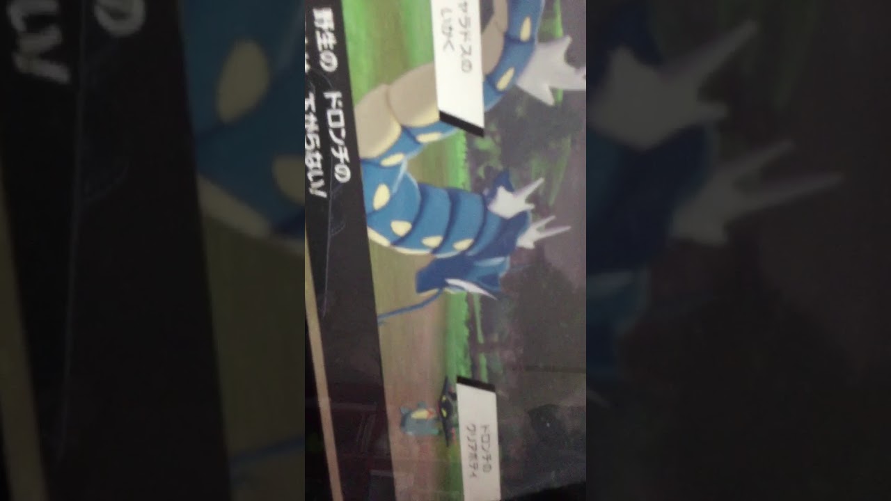 ドロンチ捕まえ方  [クソガキ動画][600族]