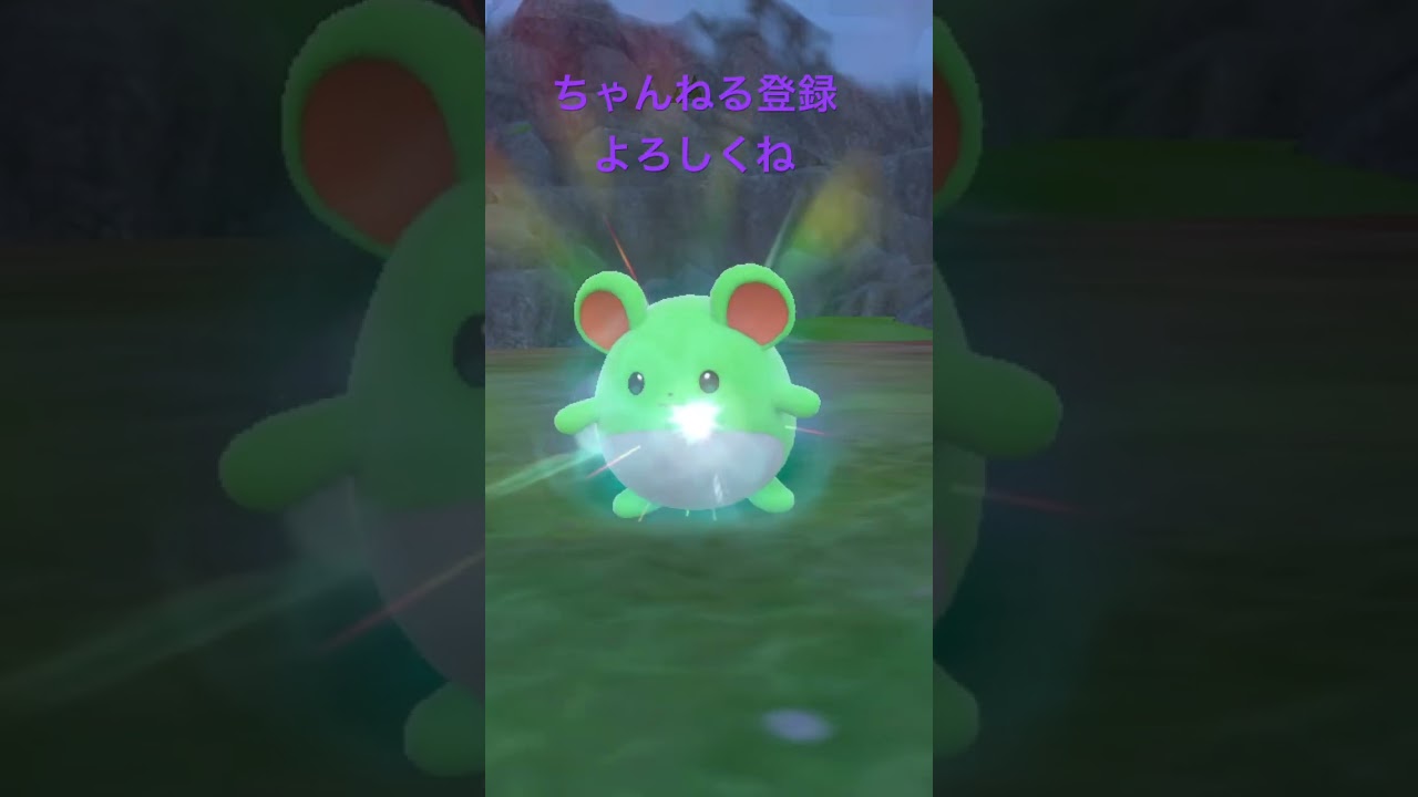 色違いマリル進化！ #ポケモン #ポケモンsv #色違いポケモン