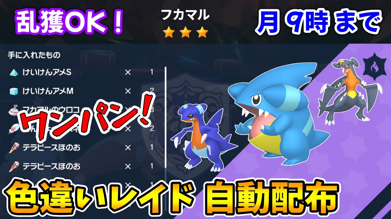 乱獲OK！フカマル色違いレイド自動配布会！【ポケモンSV】