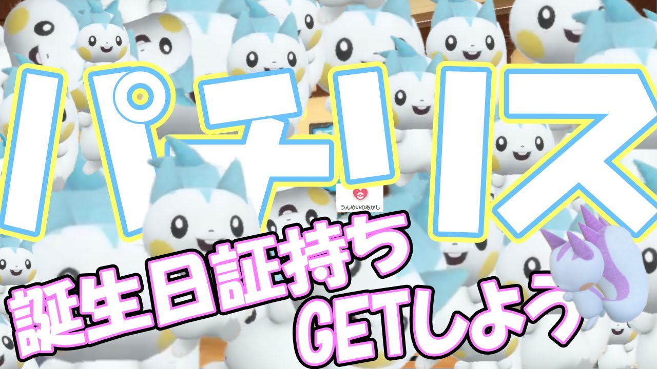 【ポケモンSV】誕生日証持ちのパチリス探そう！！