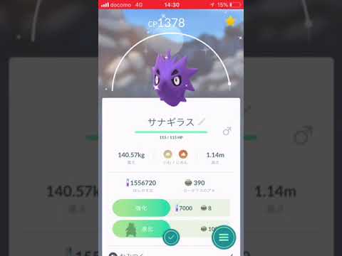 色違いのヨーギラスをサナギラスからバンギラスまで進化させました！