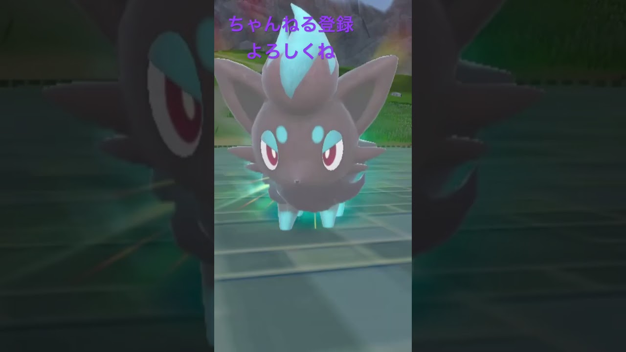 色違いゾロア進化 #ポケモン #ポケモンsv #色違いポケモン
