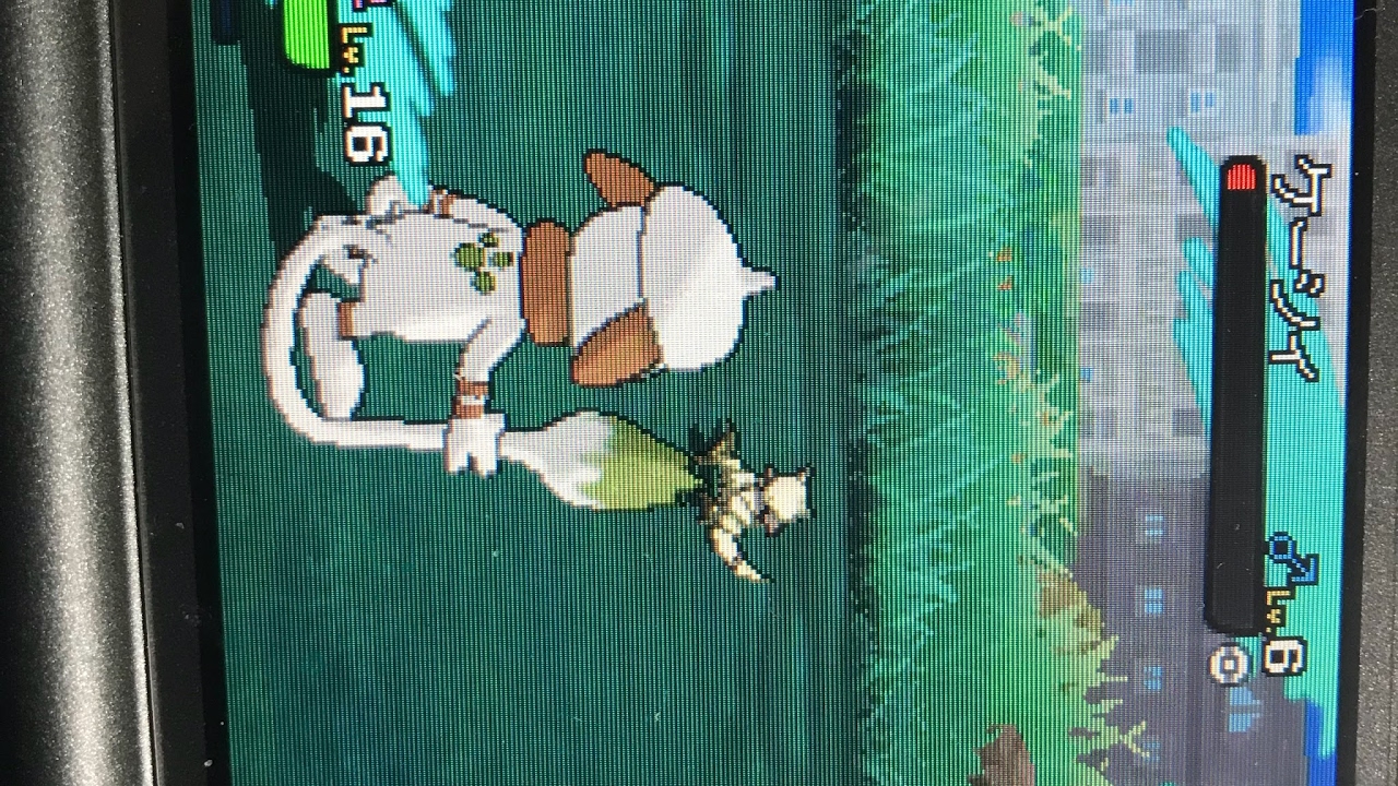 ポケモンUSUM色違い厳選アシマリ