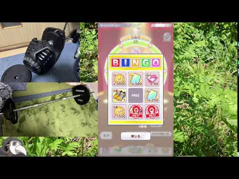 初見実況 ウマ娘プリティーダービー第13回　トレーナーさんトレーナーさんになる