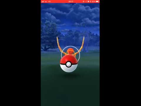 【Pokémon GO Excellent Throw】017 ピジョン (Pidgeotto)