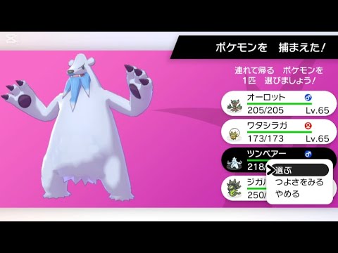 色違いツンベアー