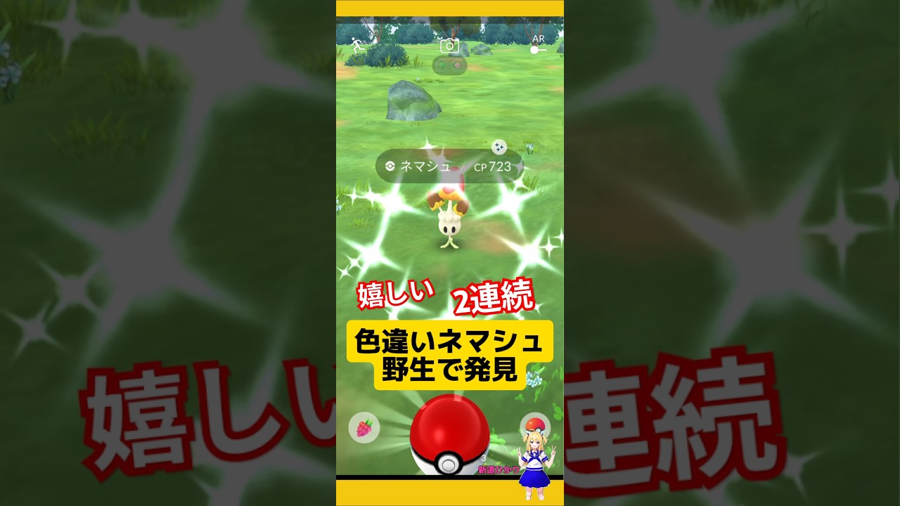 色違いネマシュ2連続！砂集めにも嬉しいポケモンだね！#ポケモンgo #色違いポケモン #ネマシュ#ほしのすな #野生色違い厳選 #pokemongo #新道ひかり