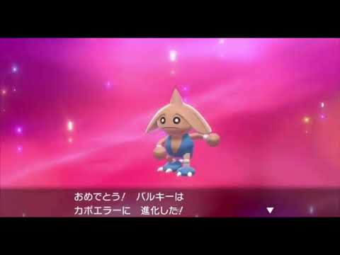 30分耐久 踊るカポエラー