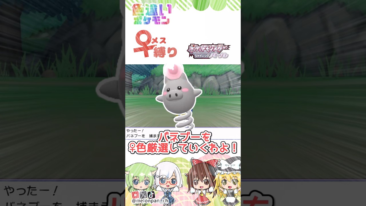 真珠の日にバネブー♀色厳選で眠れなくなりました( ；∀；)　#ポケモン #色違い #ゆっくり実況